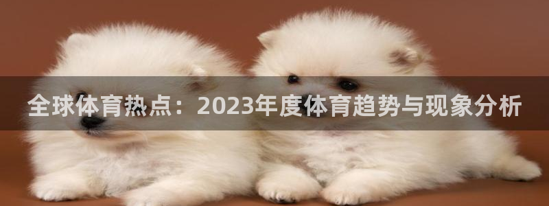 JJB竞技宝官方正版app集团简介:全球体育热点:2023年