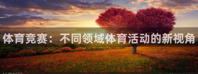 JJB竞技宝官网下载招商电话号码查询是多少:体育竞赛:不同领