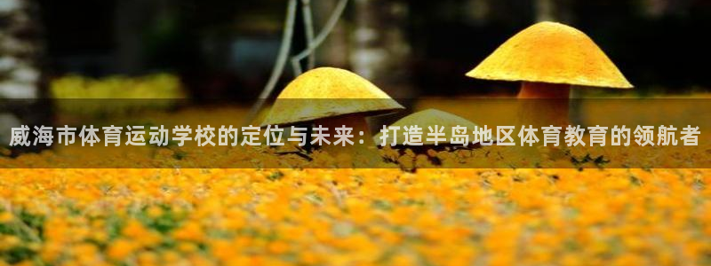 JJB竞技宝官网下载招商电话:威海市体育运动学校的定位与未来